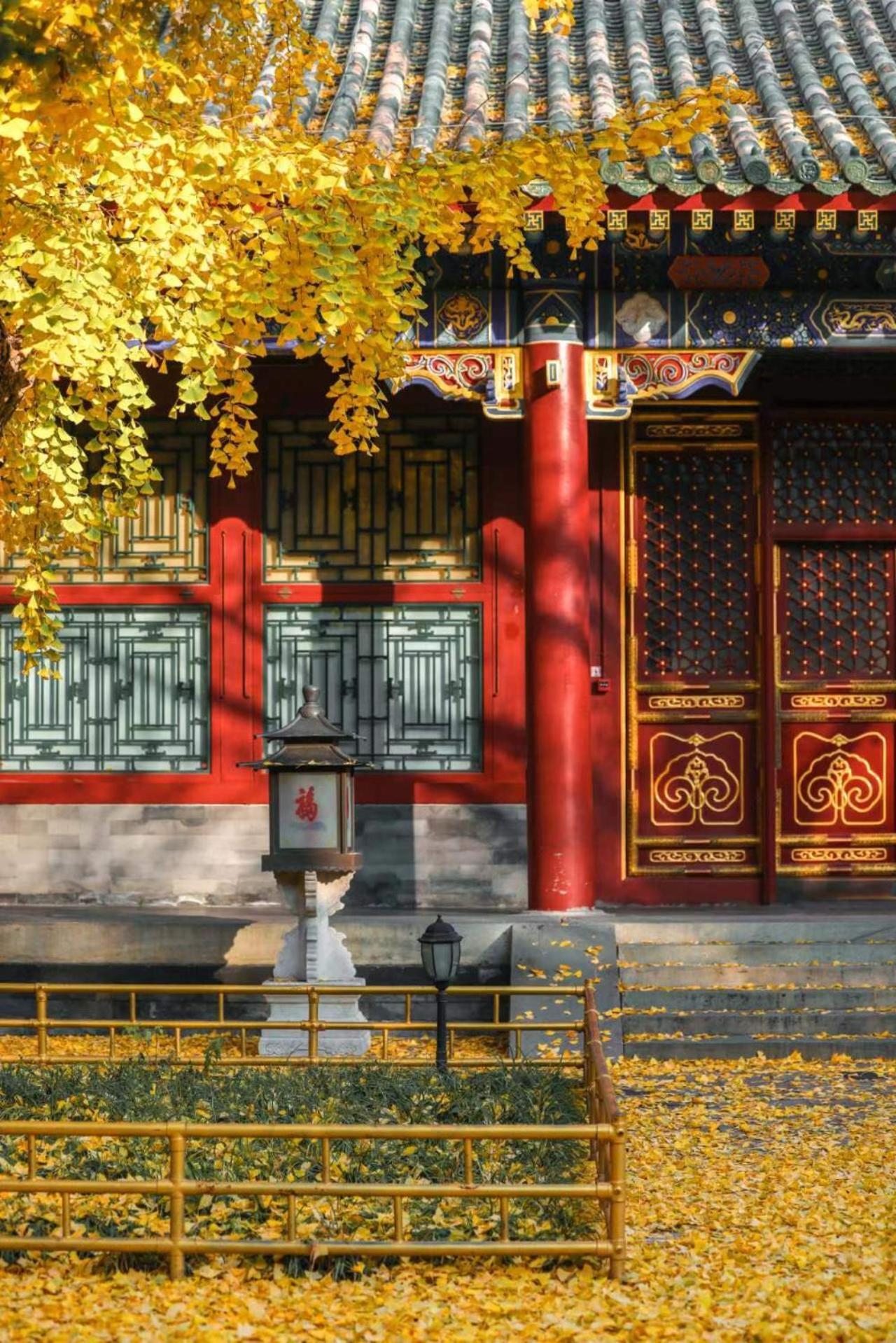 Nostalgia Hotel Near Prince Gong'S Mansion- Beihai Park, Tian'Anmen Square, Nanluoguxiang Hutong, Huguosi Hutong Snack Street, 5 Minutes Walk Away From Ping'Anli Subway Station, Free Ice Cream And Laundry Service,English Communication Well Beijing Exterior foto